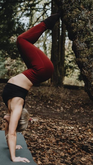 {{brizy_dc_image_alt imageSrc=